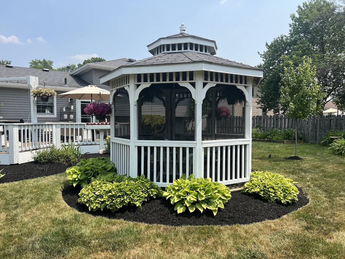 A white screened gazebo in a backyard, circled by a bed of fresh black mulch and four large hostas.